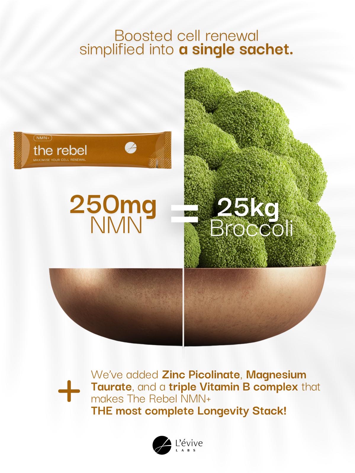 Cellular Health: The Rebel NMN+