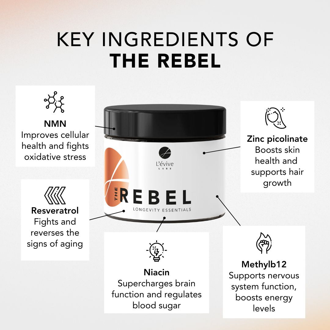 The Rebel – L’évive Labs