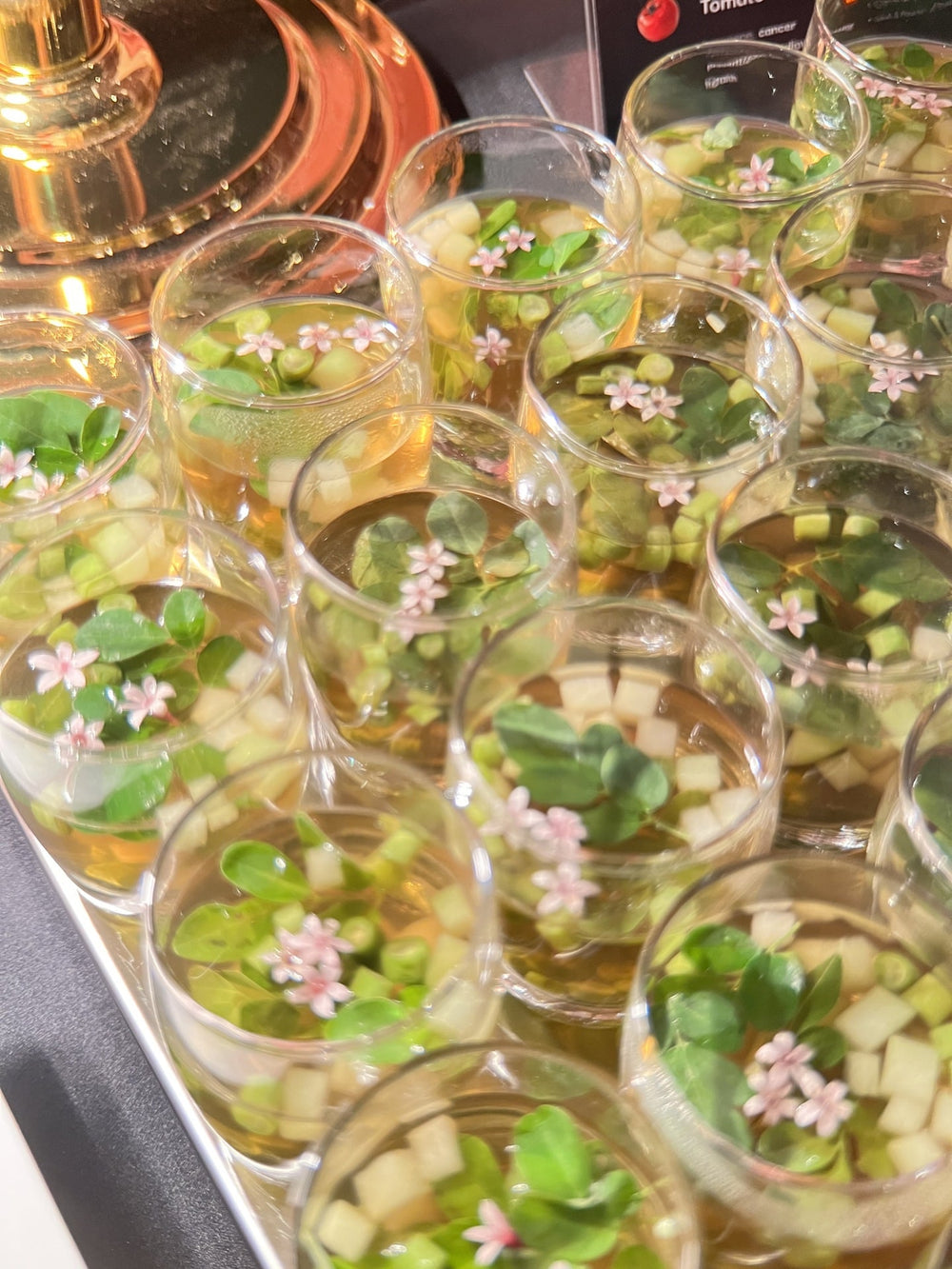 Longevity Kitchen: Nutrition for your Cell Renewal