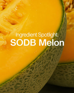 The Radiance: Marine Collagen+